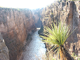 Santa Elena Canyon