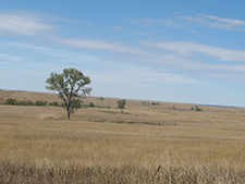 South Dakota